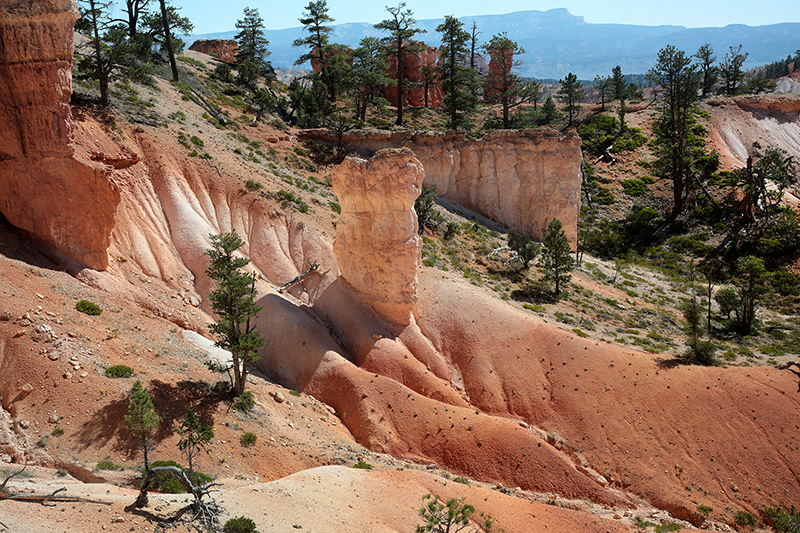 Bryce Canyon : Utah : Landscape Photos : Richard Moore : Photographer